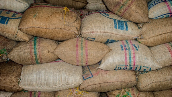 Unveiling Specialty Coffee vs. Commodity Coffee: Grasping the Essential Contrasts